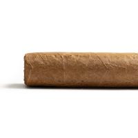 Casa Turrent Origenes Miami Cigar - 1 Single